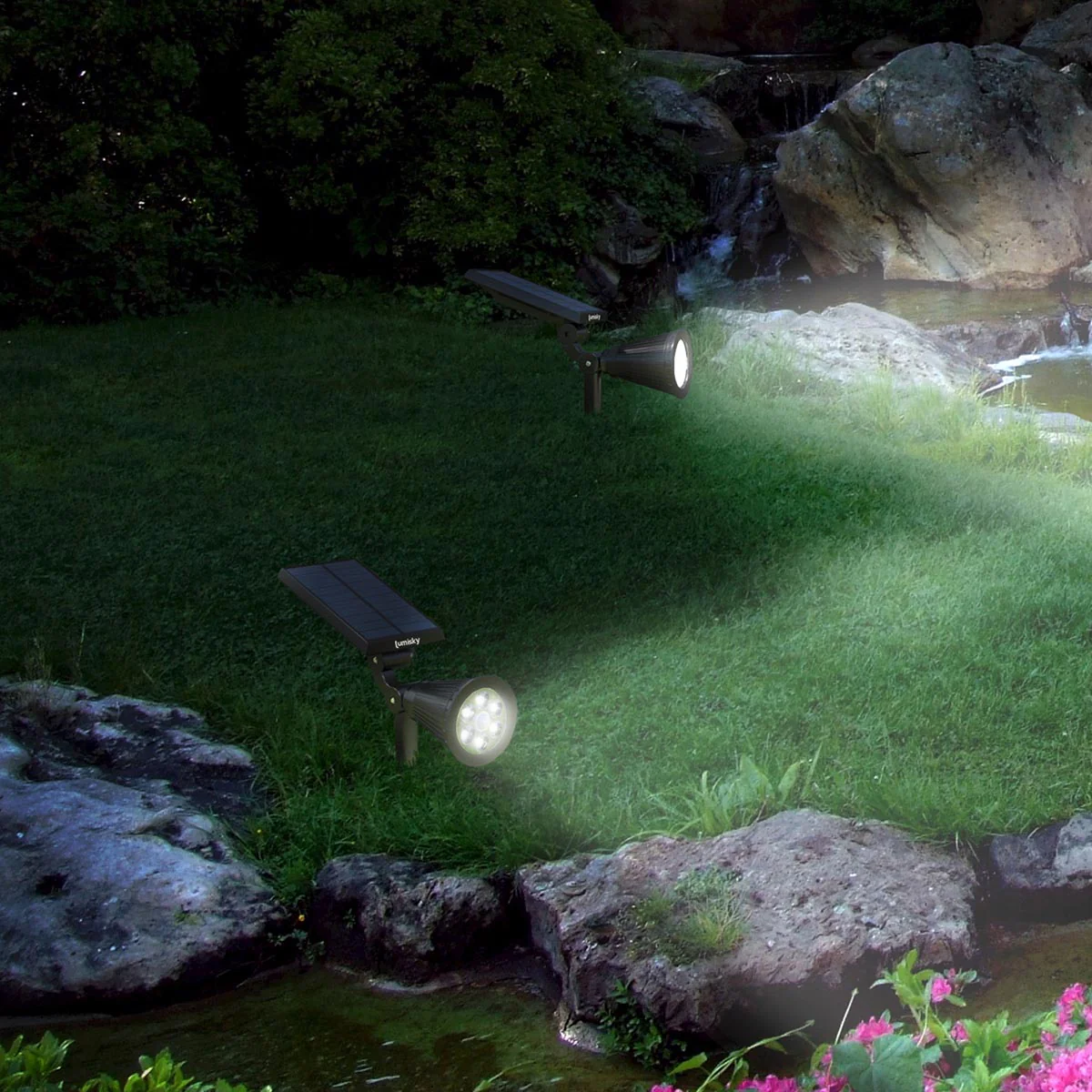 Miniature 2
