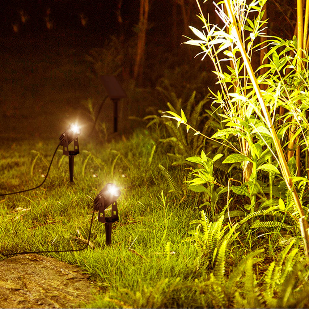 Miniature 3