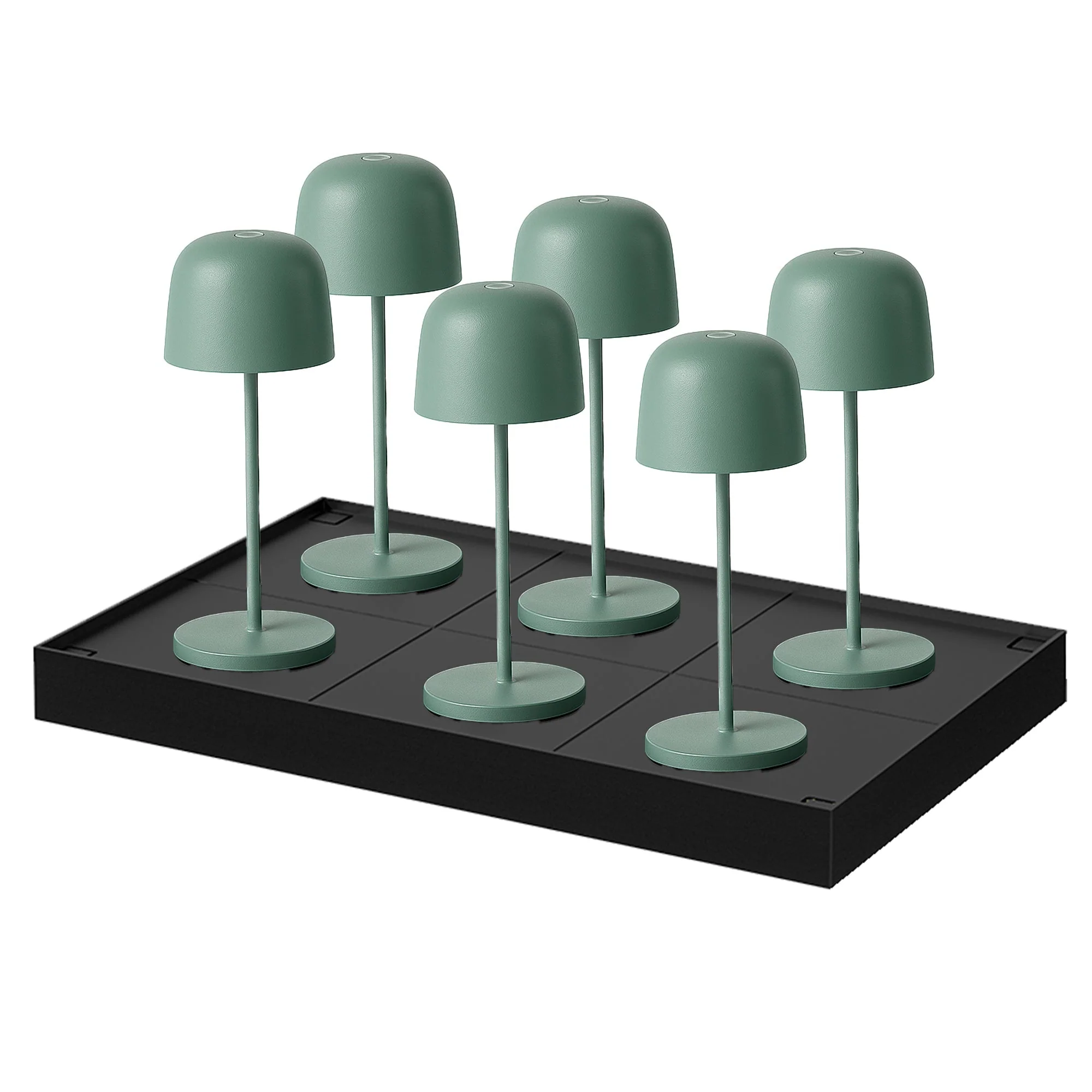 Miniature 1