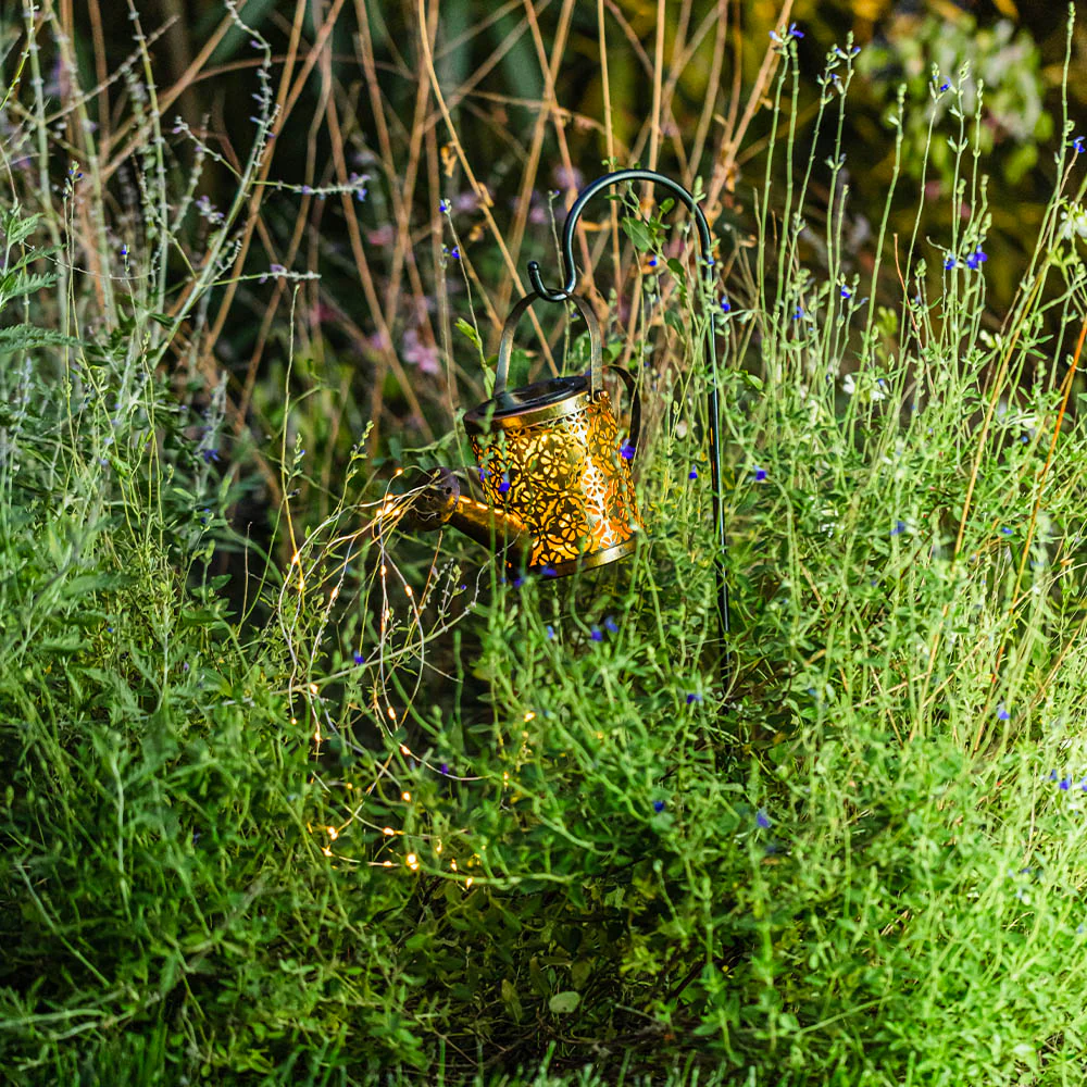 Miniature 5