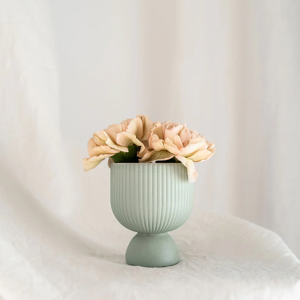 Miniature 6