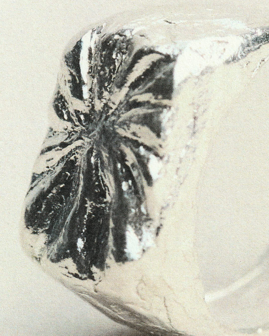 Miniature 6