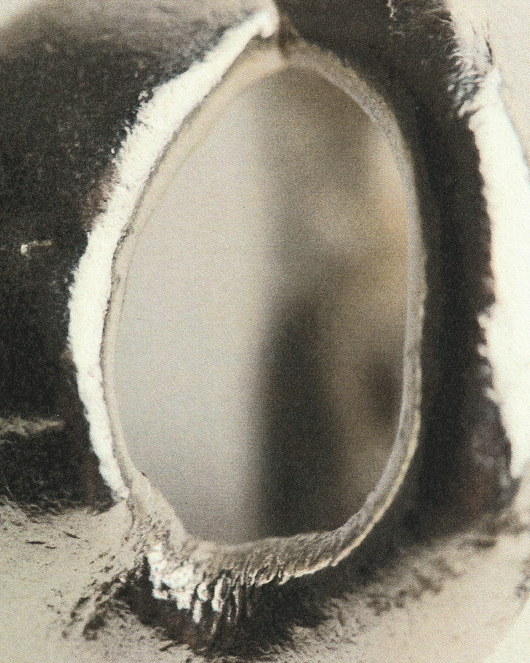 Miniature 5