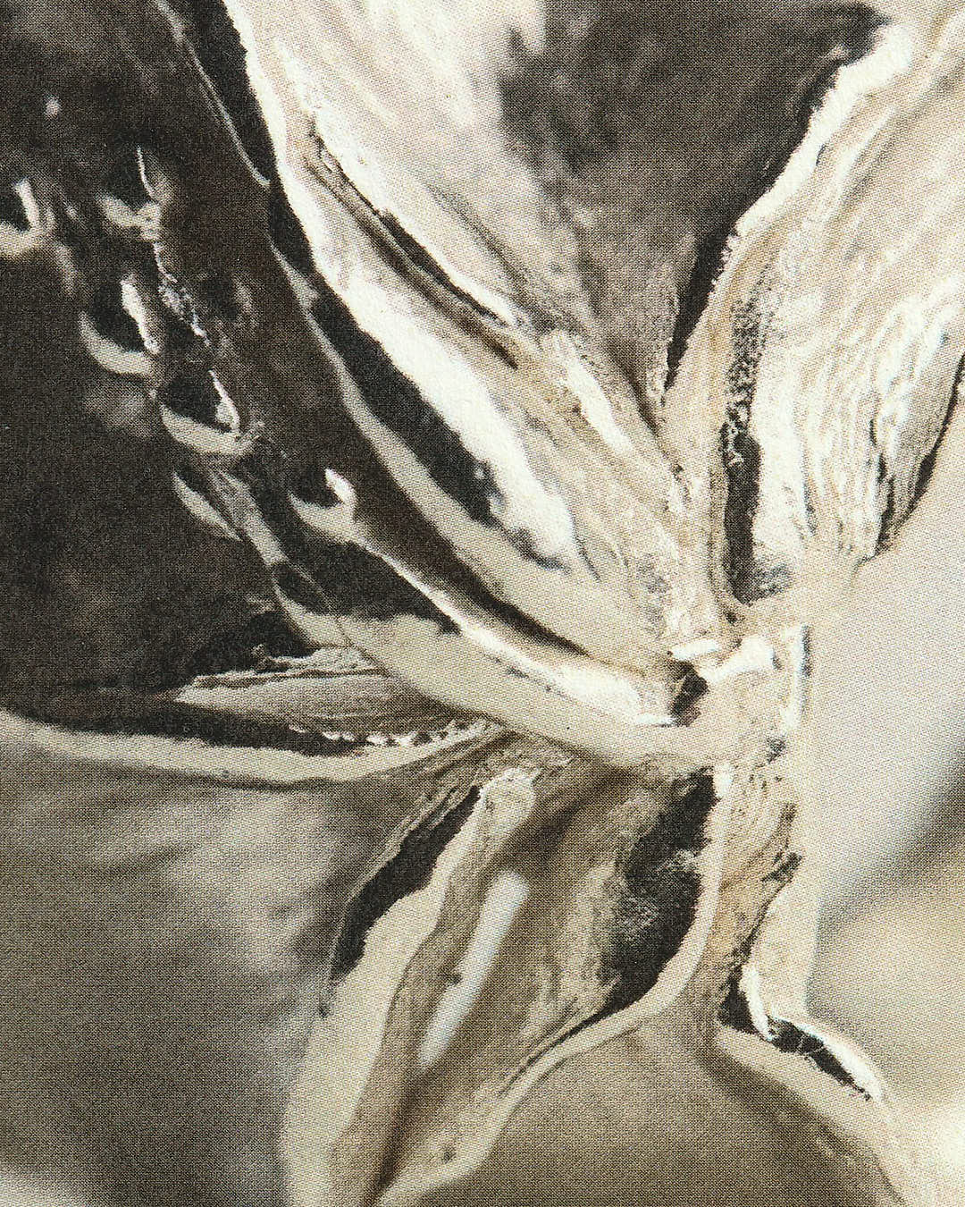 Miniature 5