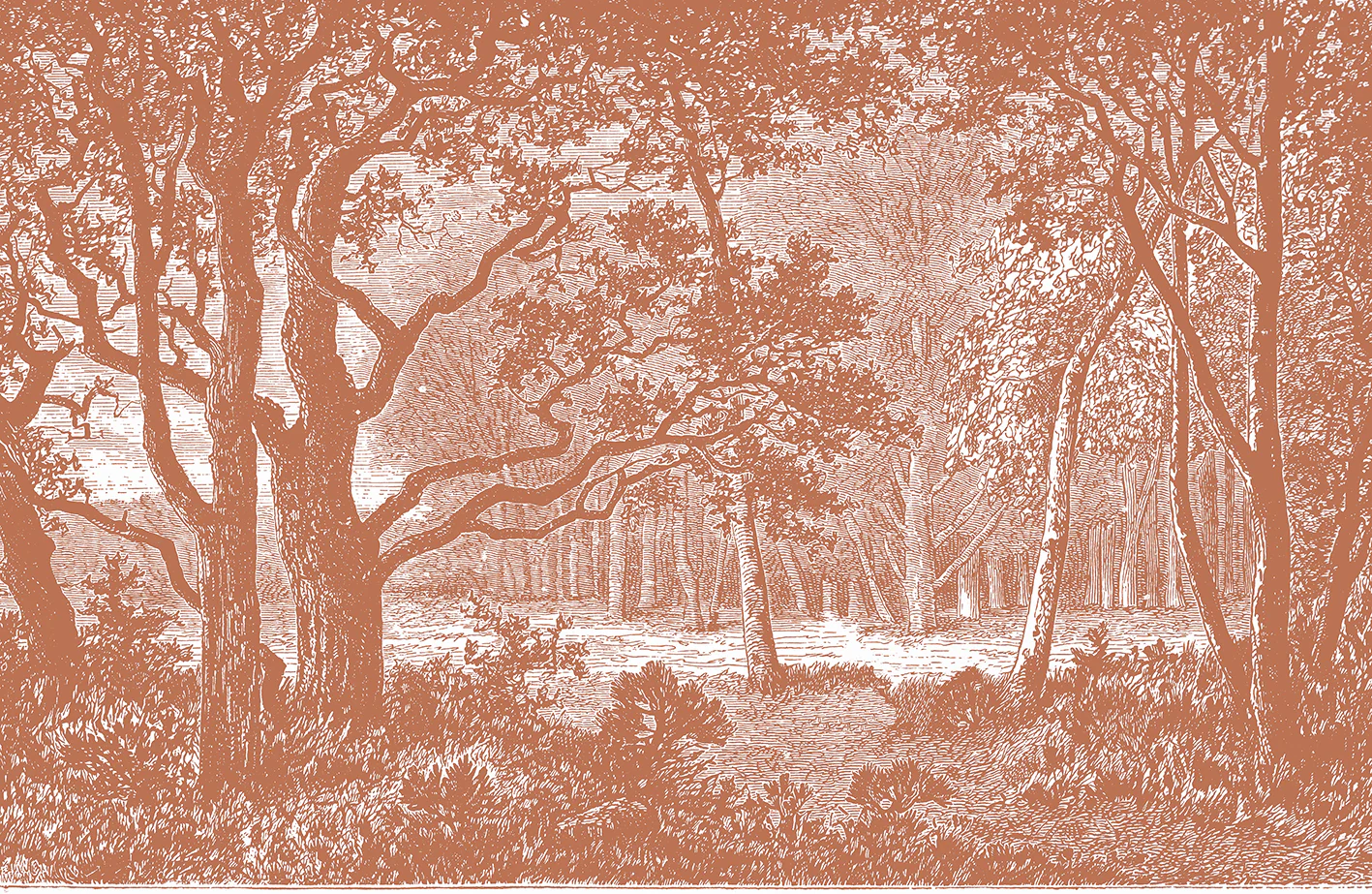 Miniature 7