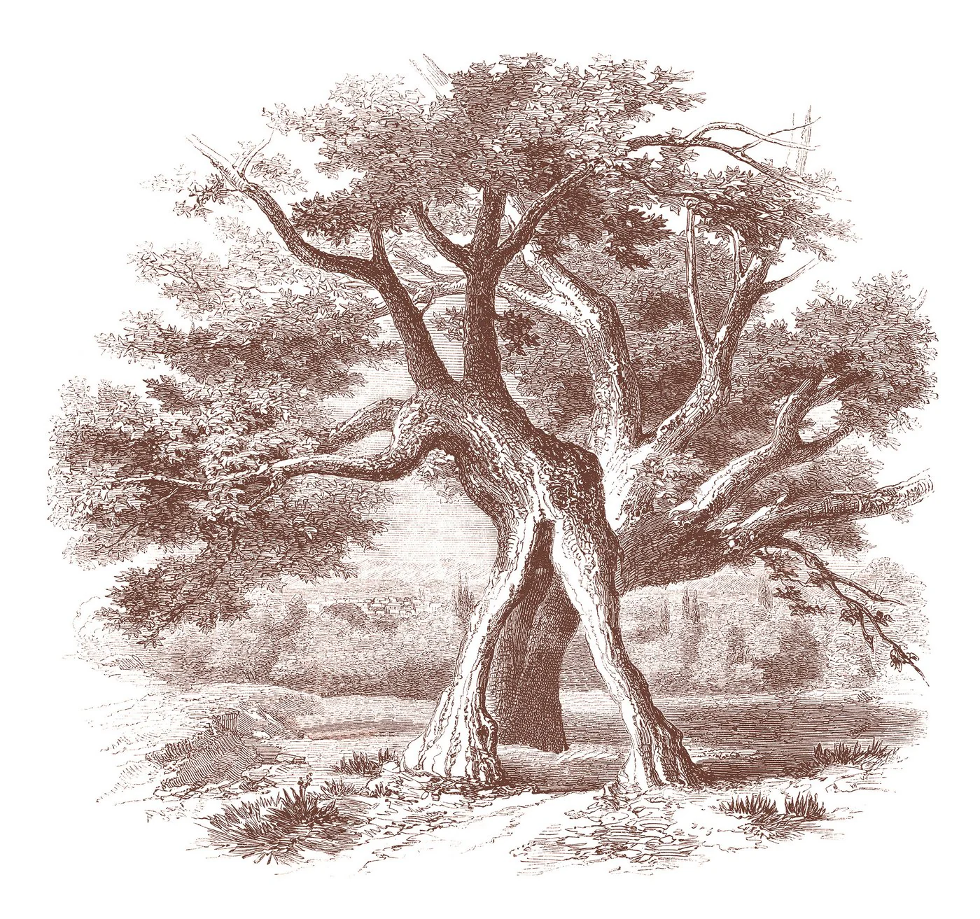 Miniature 7