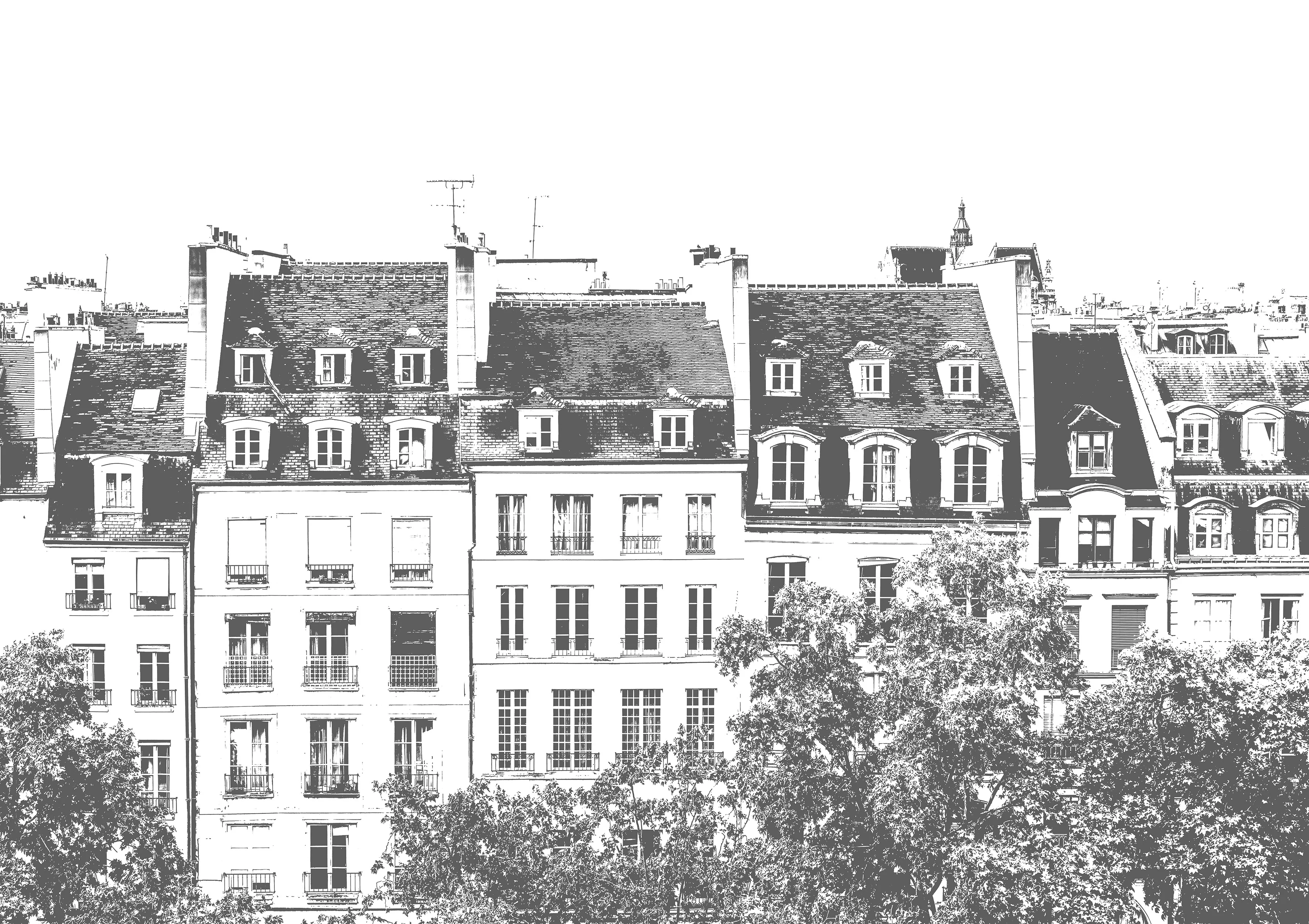 Miniature 5