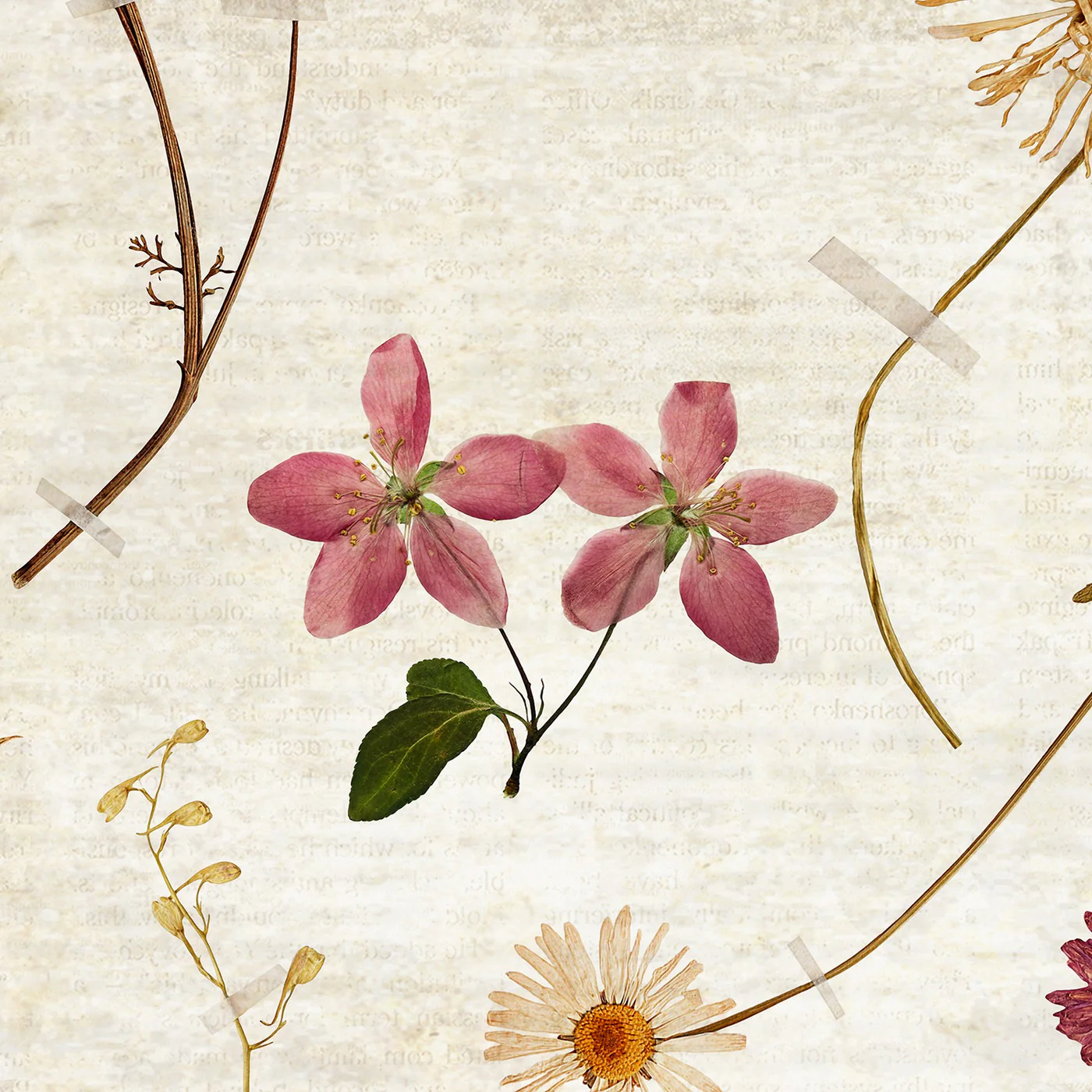 Miniature 3