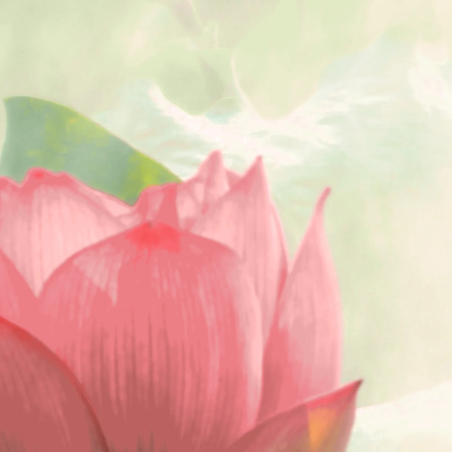 Miniature 5