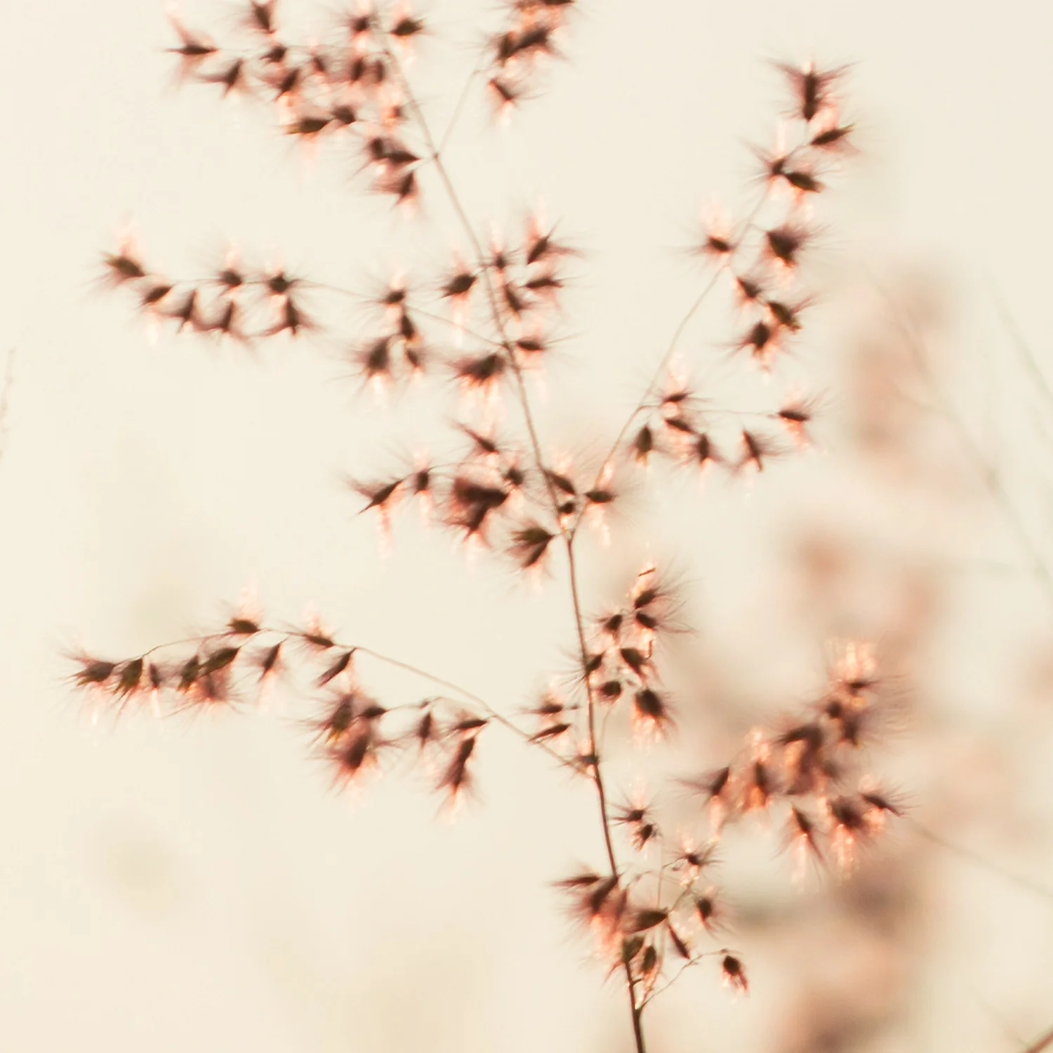 Miniature 6