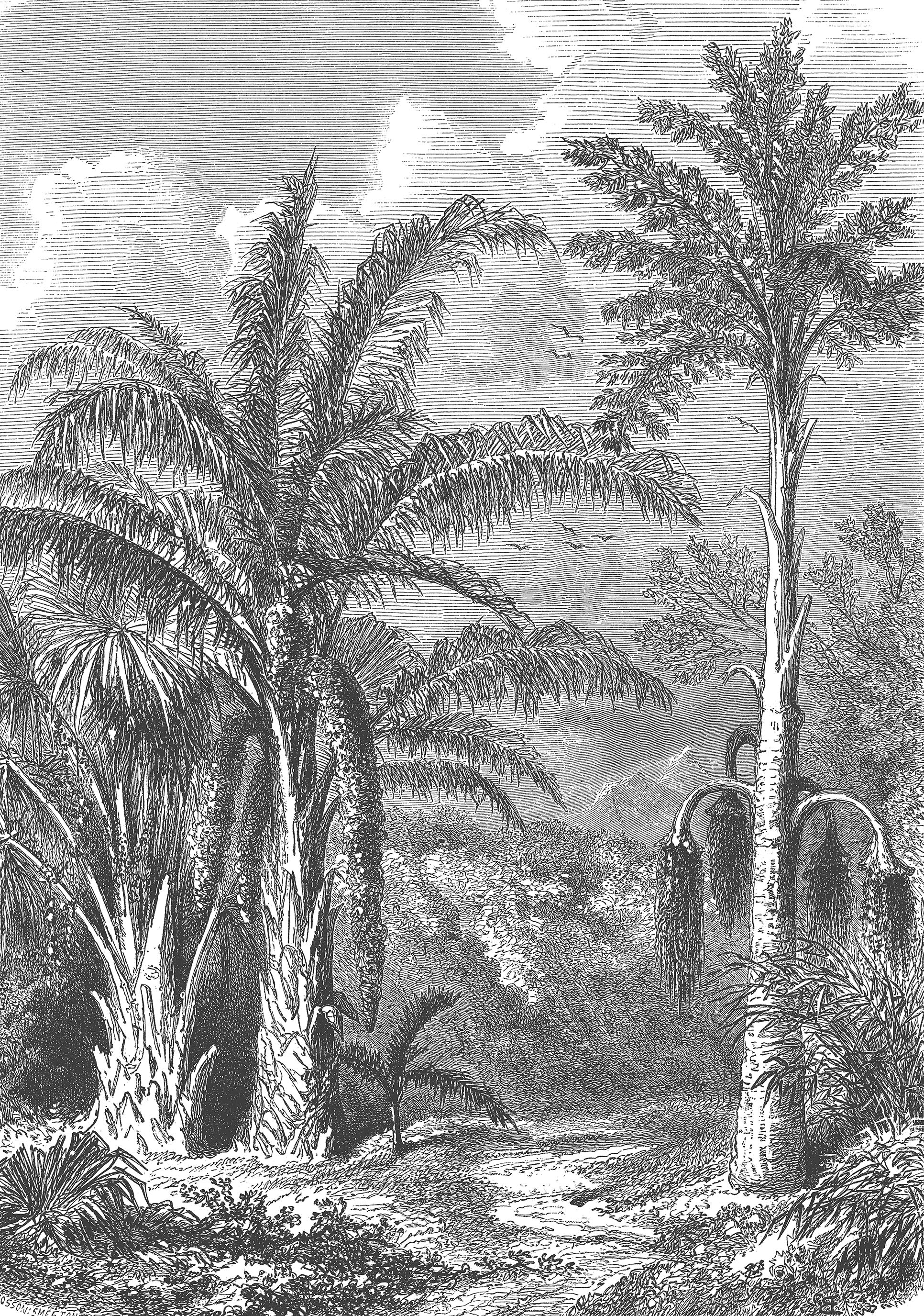 Miniature 5