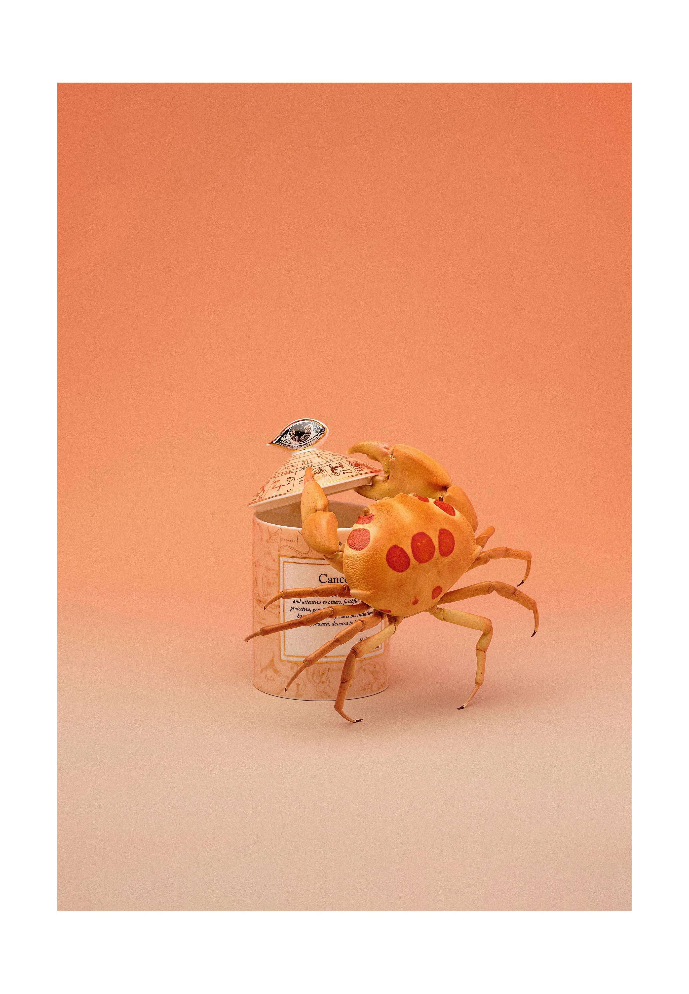 Miniature 6