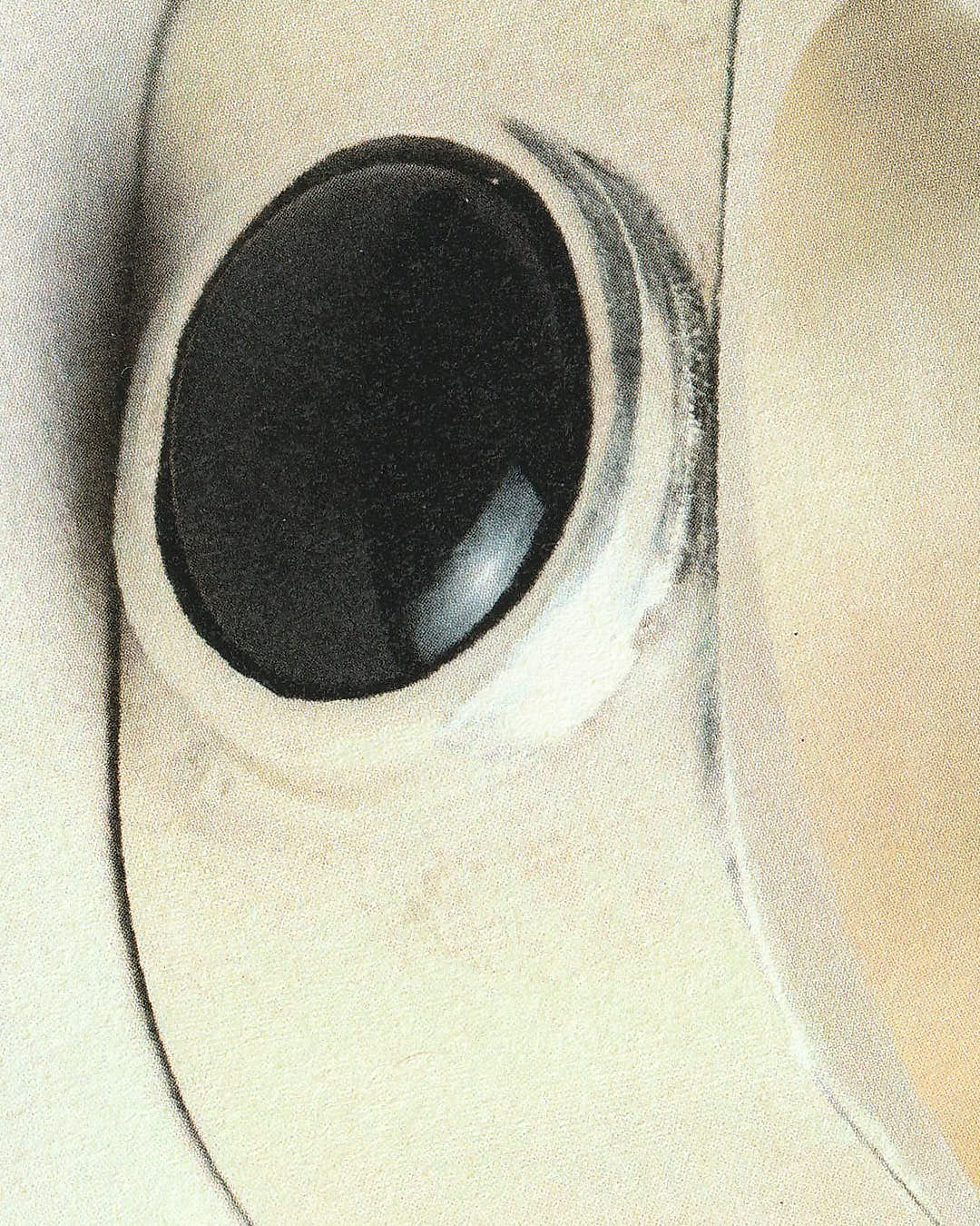 Miniature 7