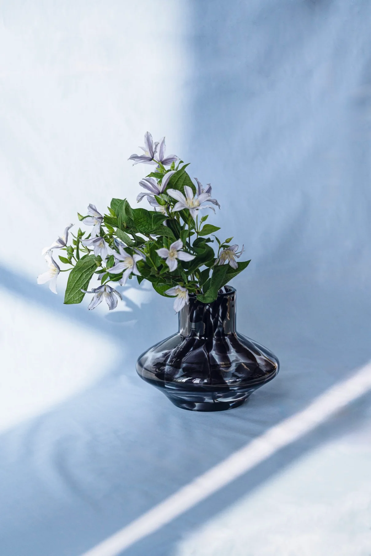 Miniature 3