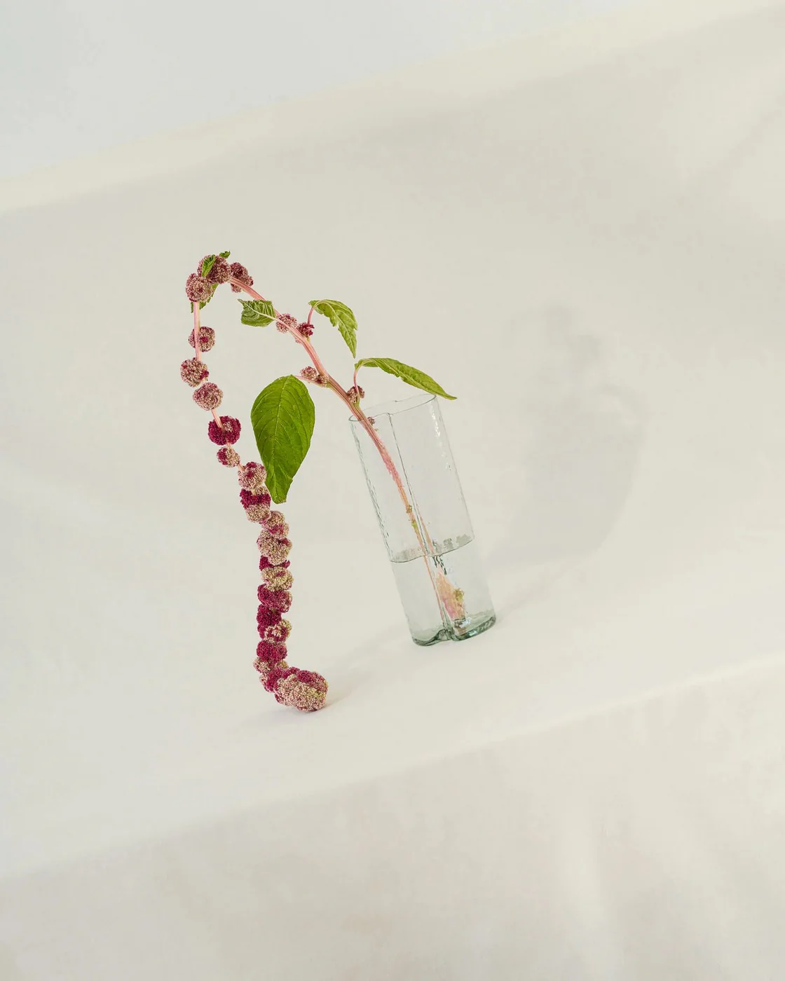 Miniature 4