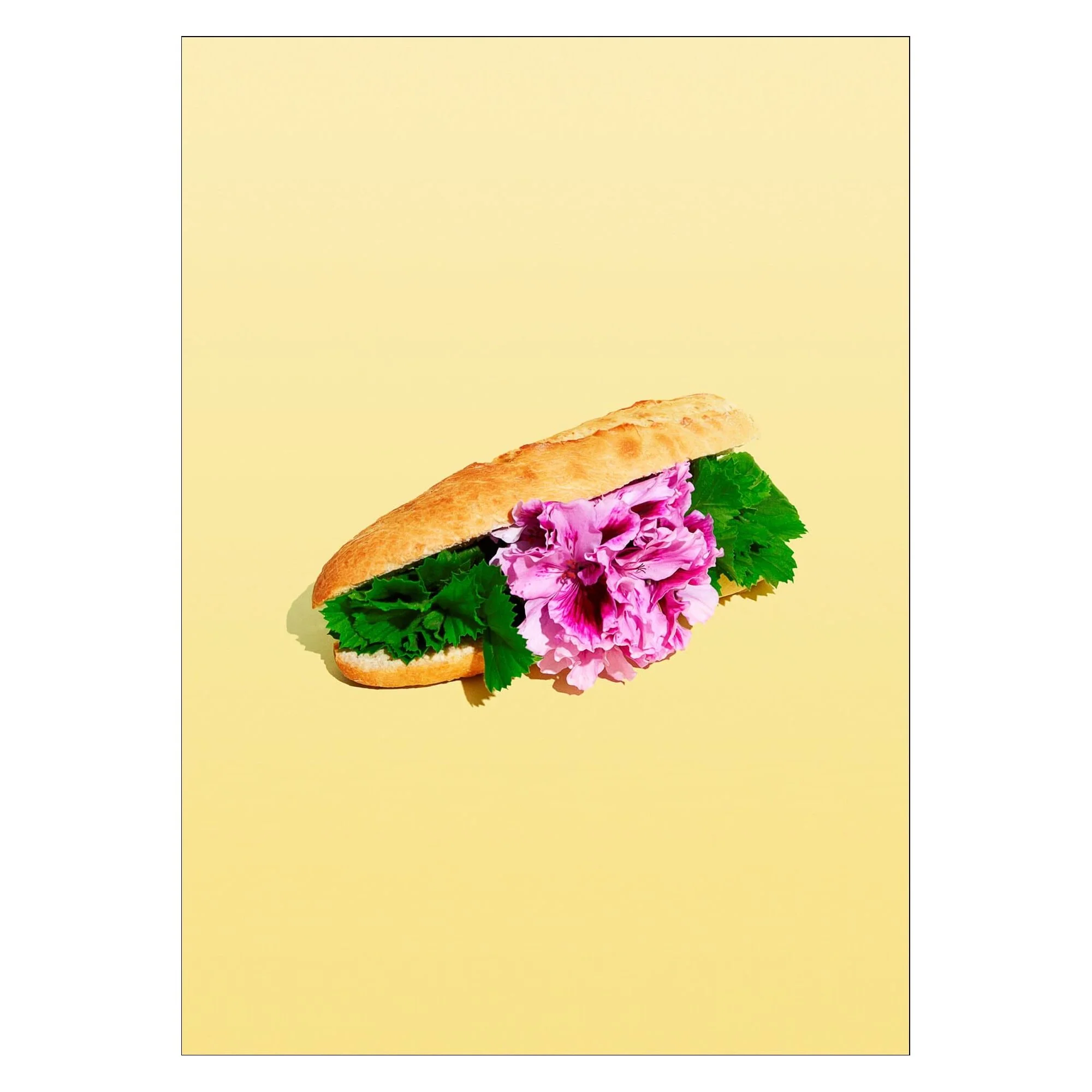 Miniature 3