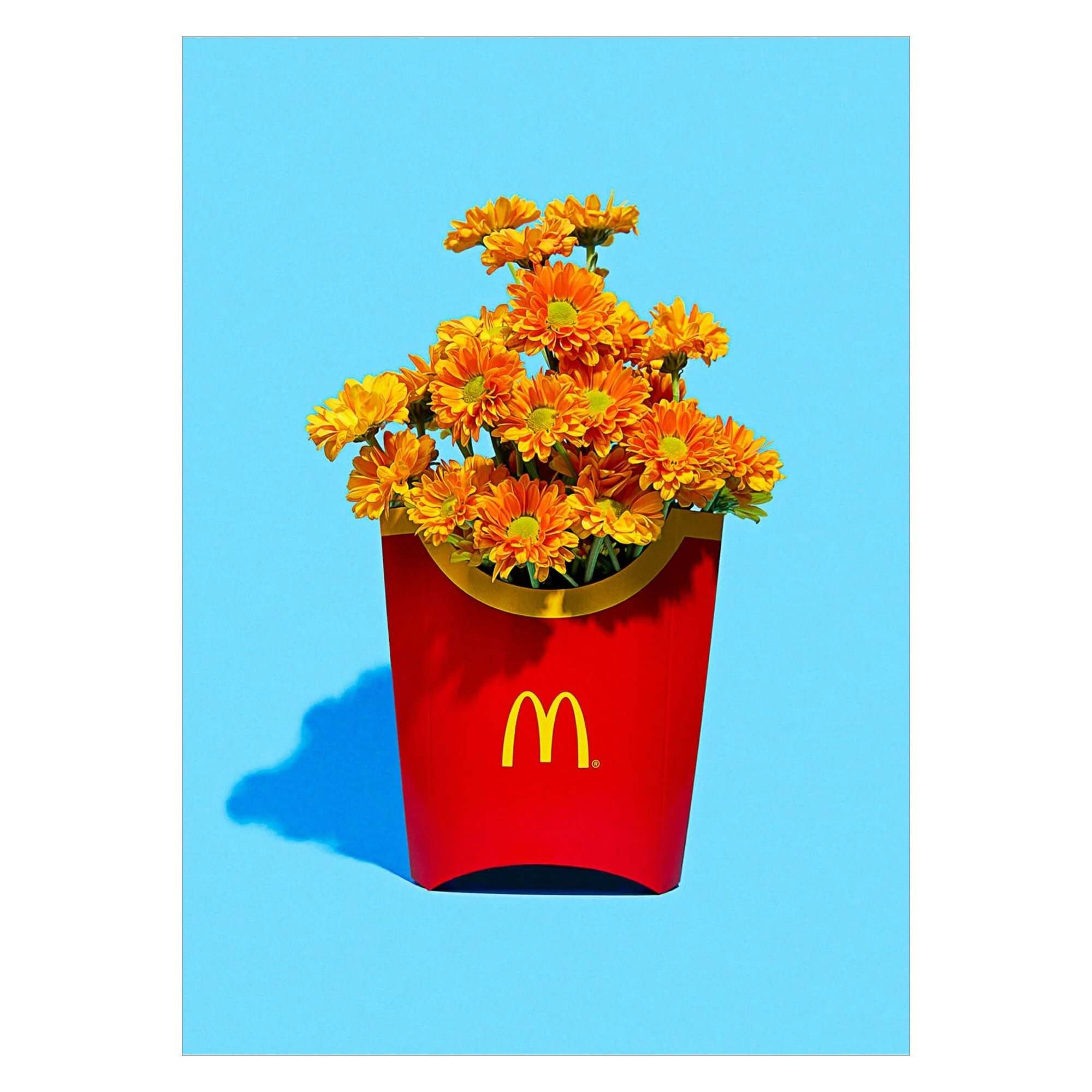 Miniature 3