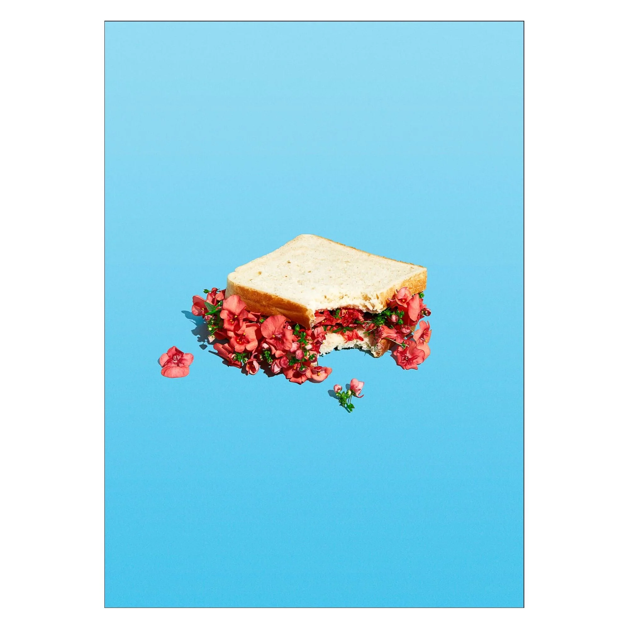 Miniature 3