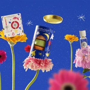 Miniature 2