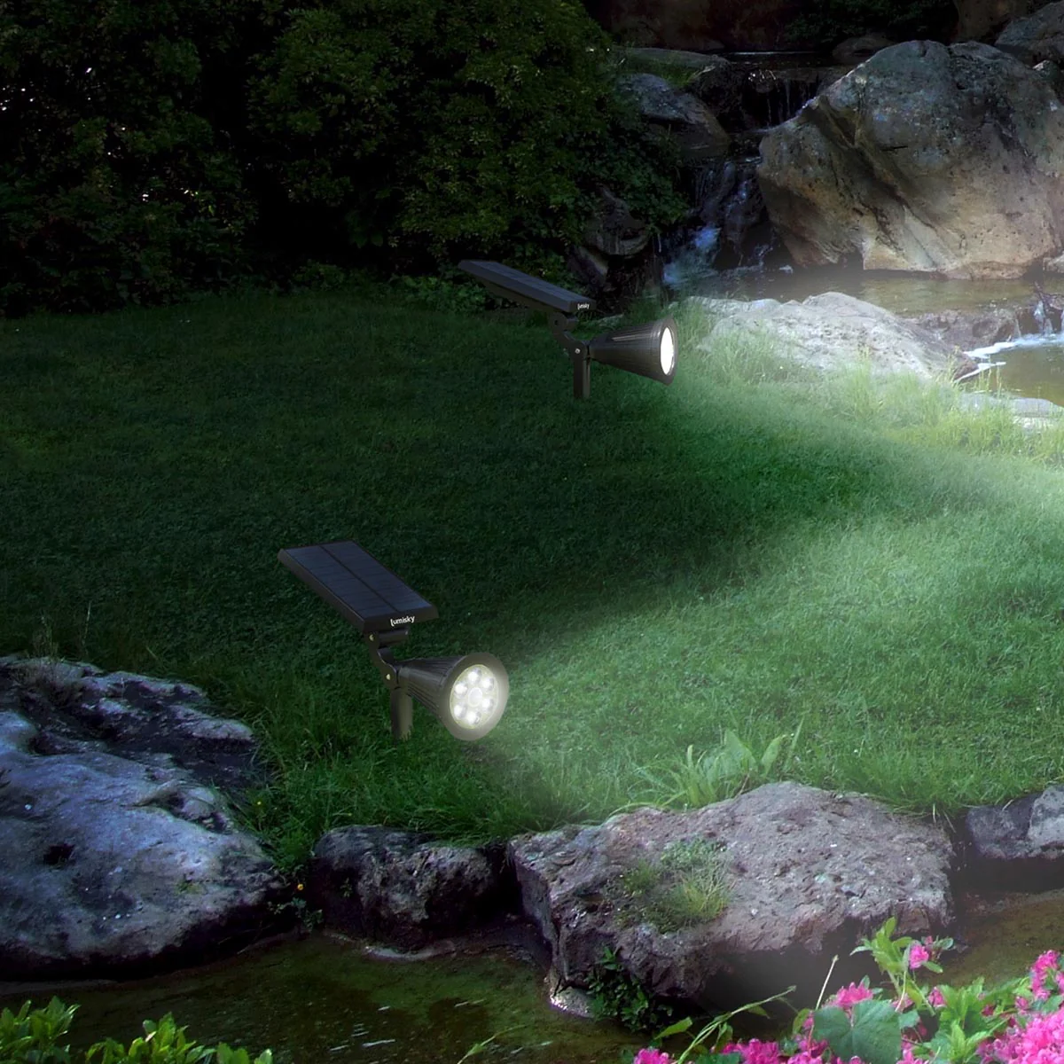 Miniature 2
